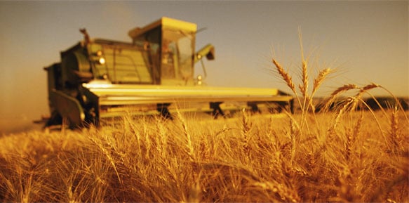 combine in a field